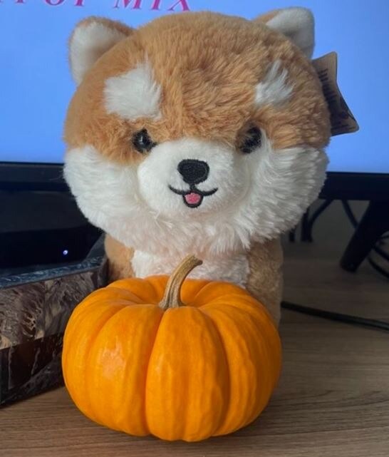 First pumpkin (a surprise pumpkin from Mike)